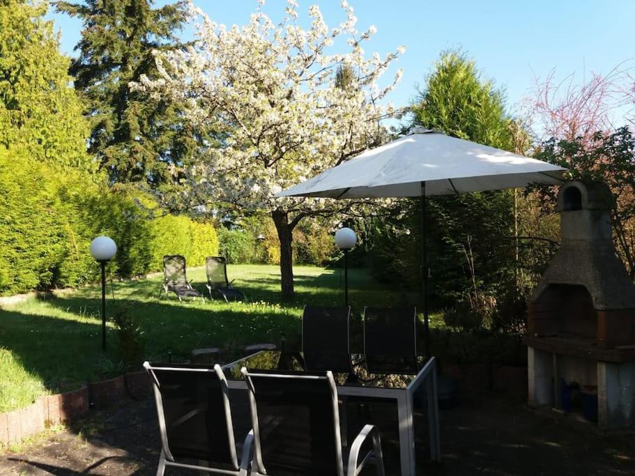 Gemuetliche, Helle Wohnung Im Luftkurort Dansenberg Kaiserslautern Dış mekan fotoğraf